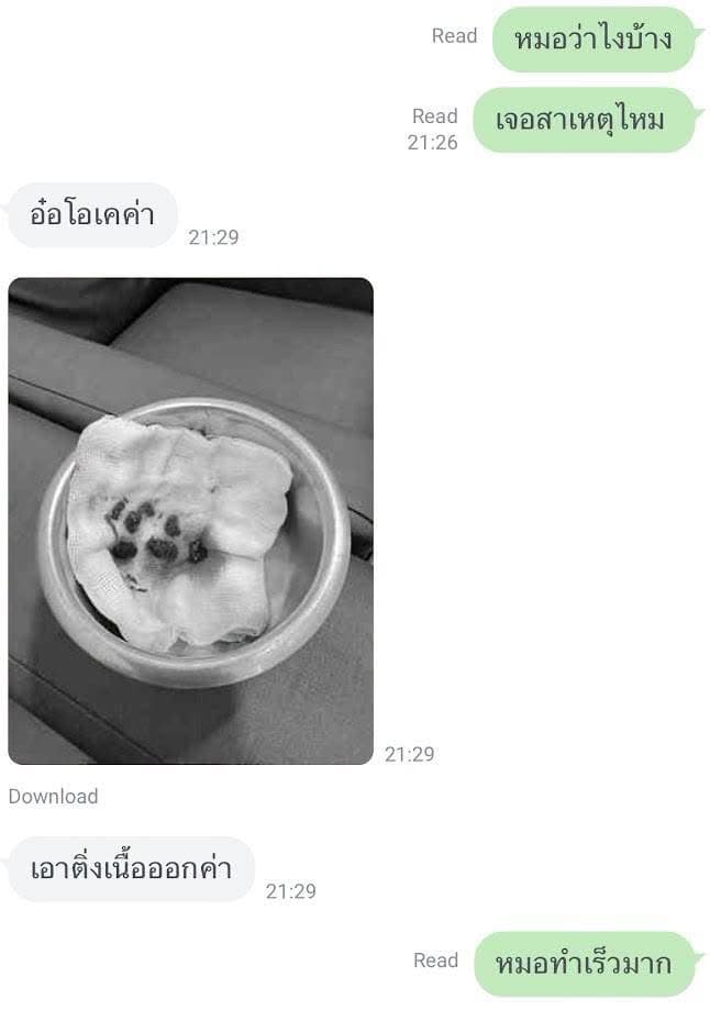 ความสบายใจ ราคากี่บาท ?? ต้นปี..น้องป่วย ไข้หวัดหรือท้องเสียนี้แหละ ปอไปเยี่ยมด้วย หมอเห็นค่าเลือดแปลกๆ เลือดน้องซีด จางกว่าปกติ
